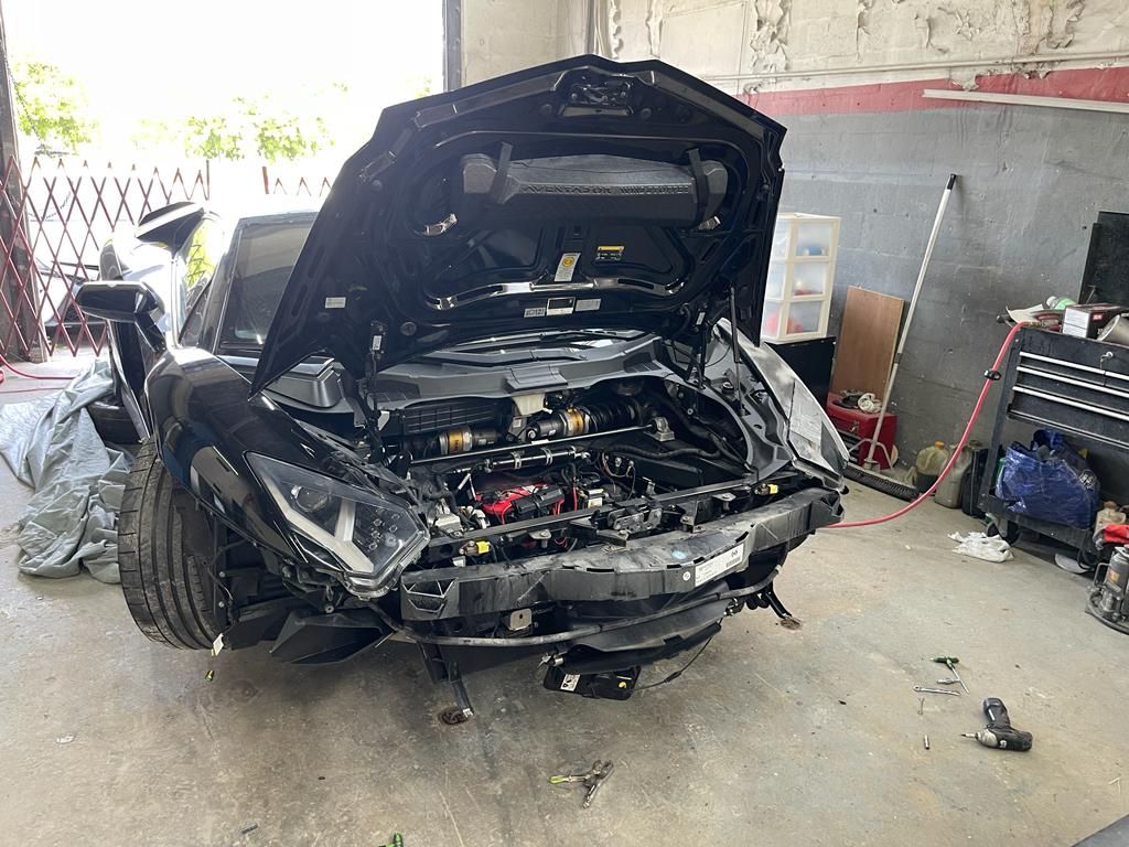 Pro Car's Impact on Palm Beach Drivers