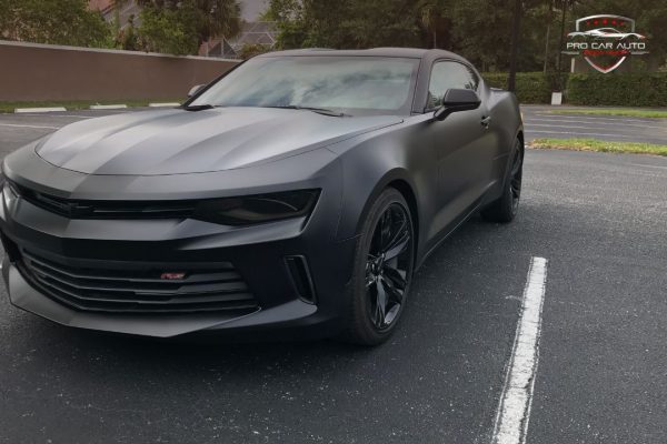 How much does car service cost