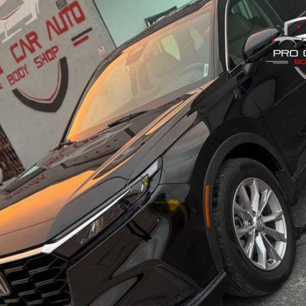 Insurance Claim Assistance Auto Repair in Hillsboro Beach