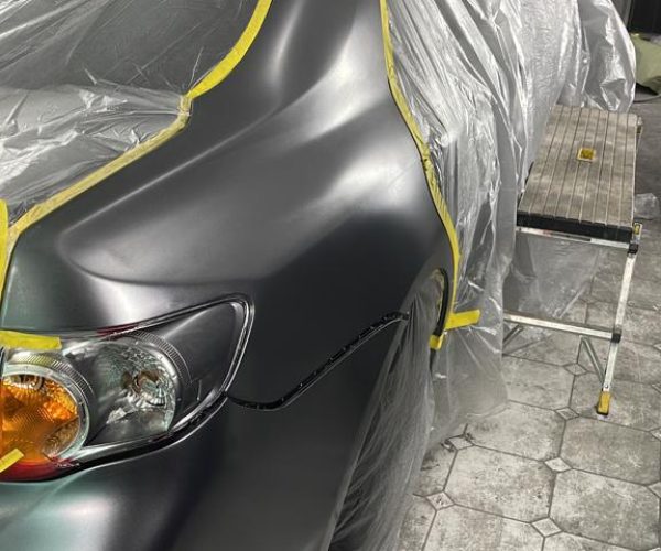 Seamless Car Body Panel Replacements at Pro Car